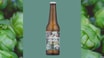 Sleeping With The Enemy Cold IPA 6.5% (0,33 l)